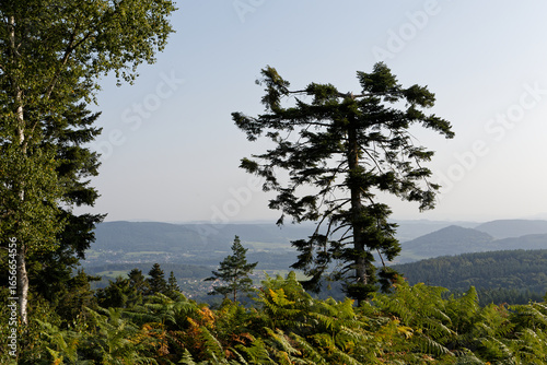 Panorama sur les Vosges