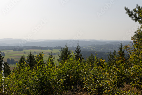 Panorama sur les Vosges