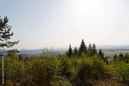 Panorama sur les Vosges