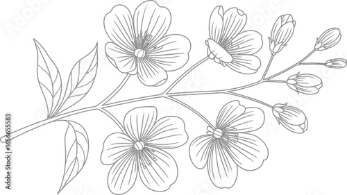 Floral Branch Line Art with Blossoms and Leaves Isolated on White Background Delicate Design