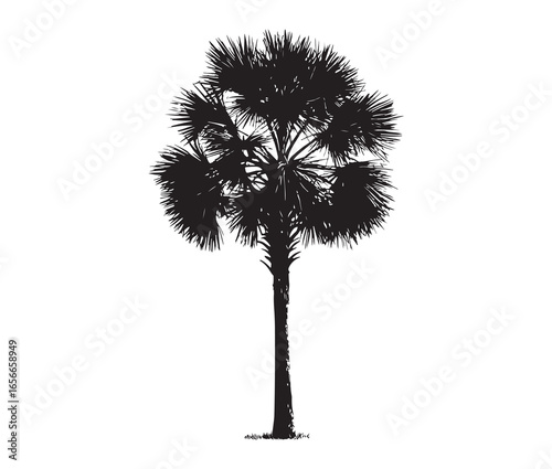 Palmetto tree silhouette on white background.