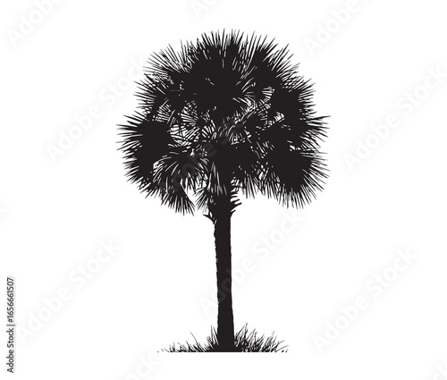Palmetto tree silhouette on white background.