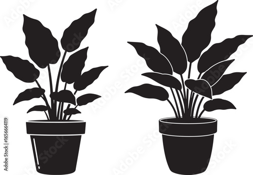 Two potted houseplants in a simple silhouette style