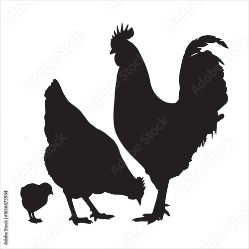 Silhouette of a rooster hen and chick on a white background
