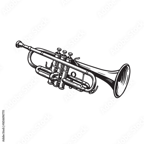 Detailed black and white illustration of a trumpet on a white background isolated