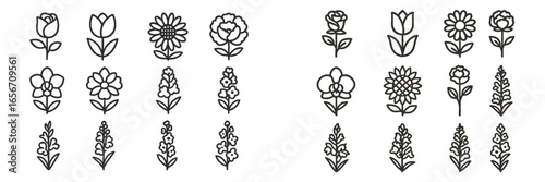 Various floral designs showcasing a range of flower types and styles for creative projects and decoration