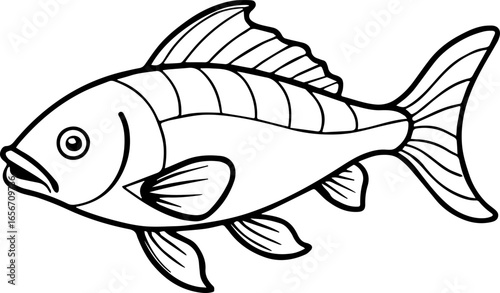 common carp outline vector illustration line art