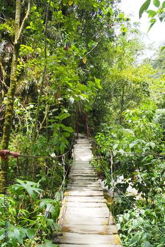 Narrow Wooden Suspension Bridge Deep in the Lush Tropical Rainforest for Adventure Travel and Eco-Tourism Concepts