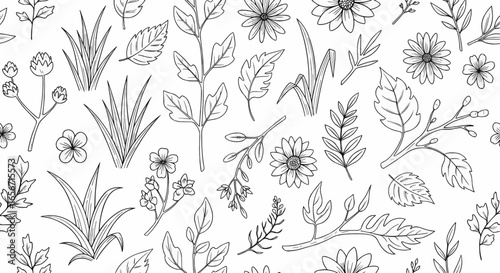 Elegant botanical floral pattern with hand-drawn leaves, herbs, and flowers in seamless line art black and white design for backgrounds and textiles.