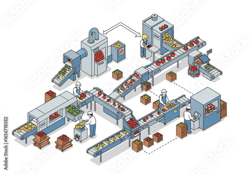 A fruit processing plant with workers conveyor belts  automated machines sortspackages produce