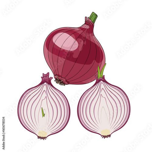 red onion isolated on white background
