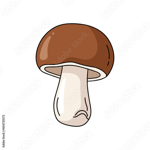 mushroom isolated on white background