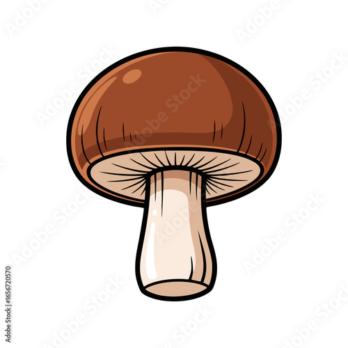 mushroom isolated on white background