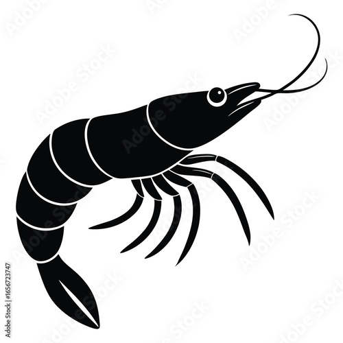 chingri fish vector 