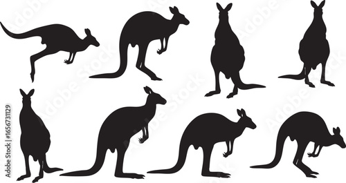 Collection of kangaroo silhouettes in various poses, kangaroo, marsupial, animal, wildlife, australia, australian, mammal, silhouette, black, white, isolated, graphic, design, illustration, collection