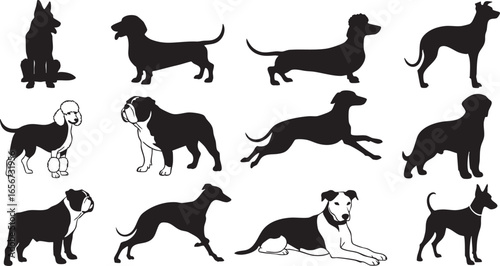 Diverse dog breed silhouettes in various poses dog breeds, dog, silhouette, dog breeds, animal, canine, pet, domestic animal, mammal, puppy, doggy, breed, dog lover, dog owner, dog life, dog training,