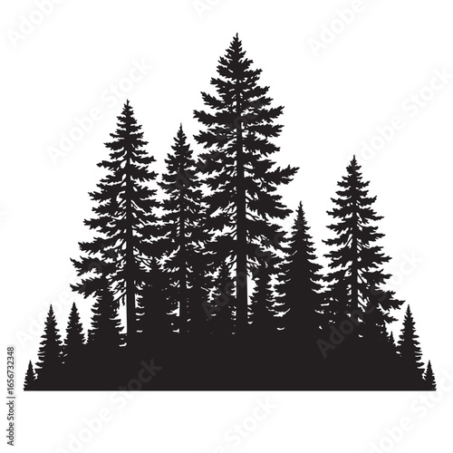 Silhouette of a dense evergreen forest with detailed pine trees in black and white