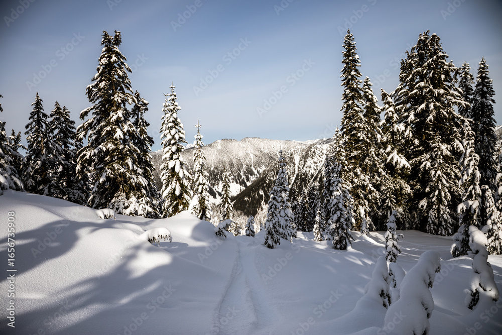 Obraz premium Snowy Scenic Winter Forest in the Mountains - Tranquil and Peaceful