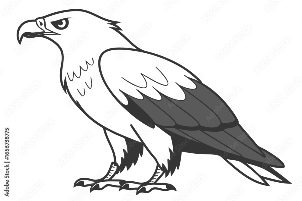 Fototapeta premium Majestic Eagle: A Black and White Bird of Prey Vector Illustration