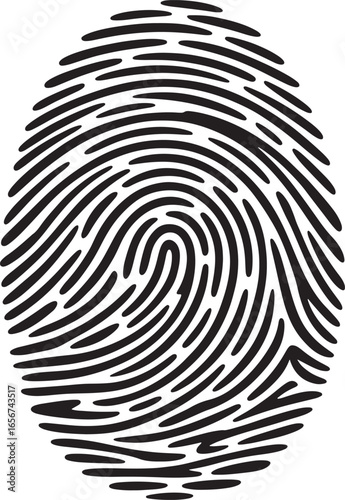 fingerprint pattern silhouette royalty free stock photos premium quality