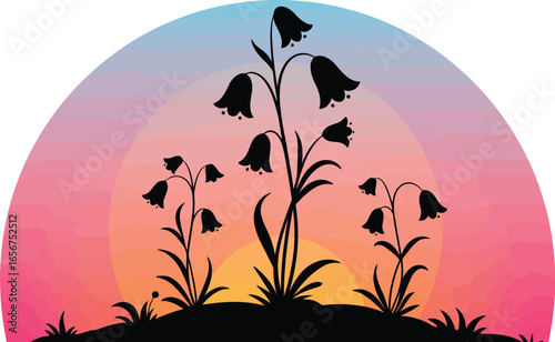 Silhouette bluebells at sunset