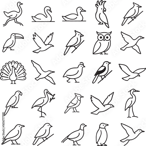 Bird Line Icons Set – 25 Minimal Outline Vector Birds: Peacock, Owl, Toucan, Heron, Penguin, Swan, Duck, Dove