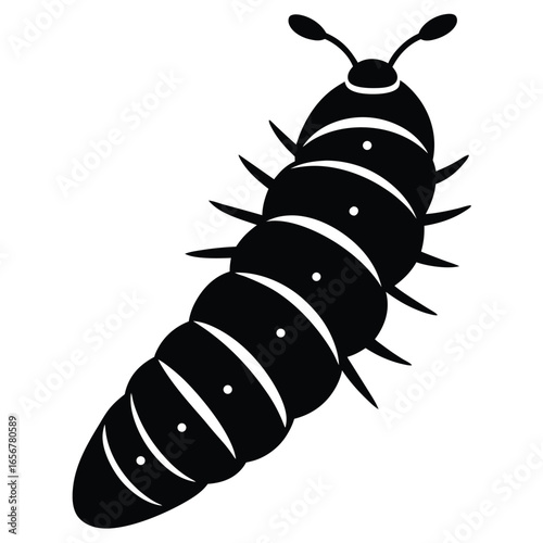 insect vector
