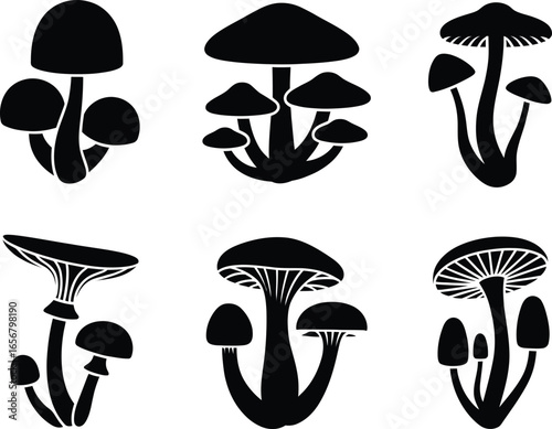 A Collection of Black and White Silhouette Illustrations of Various Mushroom Types