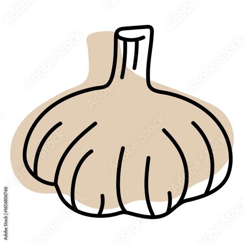 Color stroke abstract garlic