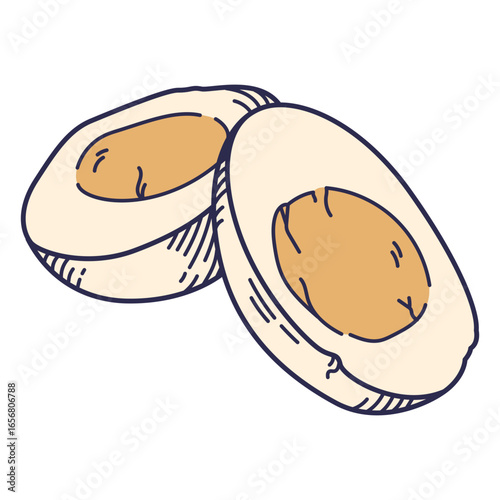 Color stroke cut boiled egg