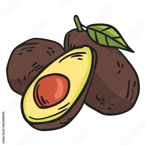 Fruit avocado mexico illustration