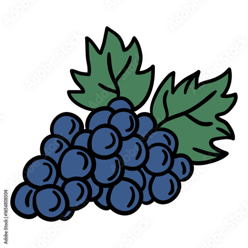 Grapes bunch hand drawn