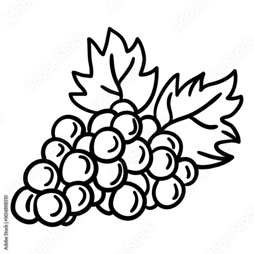 Grapes bunch stroke