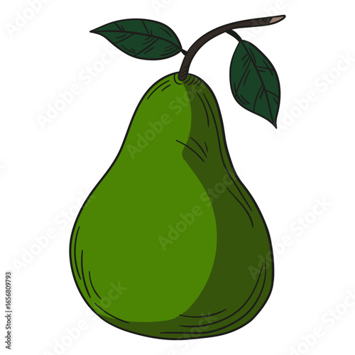 Illustration green pear