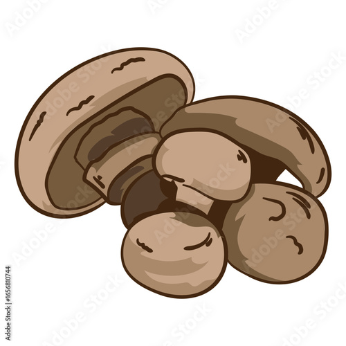 Mushrooms food ingredient