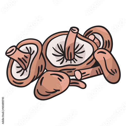 Mushrooms fungi food edible illustration