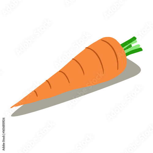 Orange carrot illustration