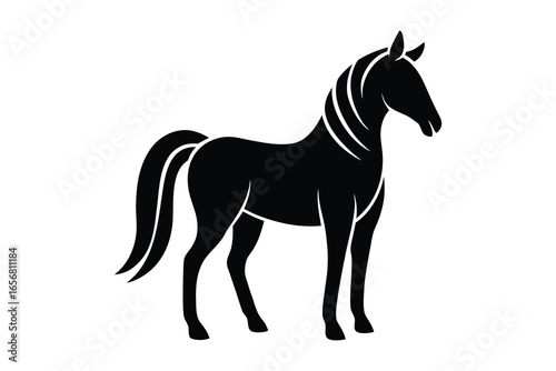 Black silhouette of a majestic horse standing still on a white background animal