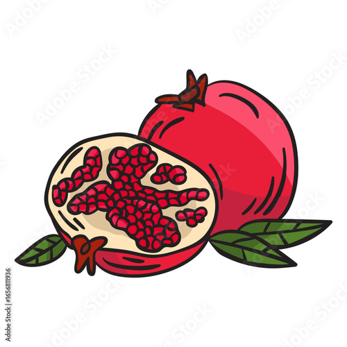 Pomegranate fruit food illustration