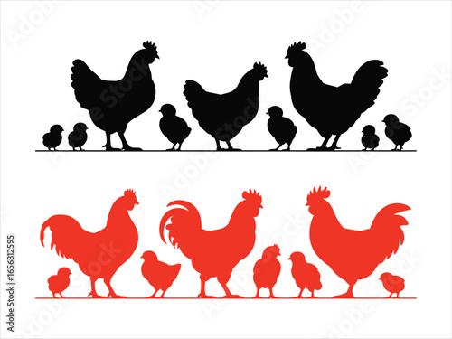 Roosters hens chicks silhouettes poultry farm