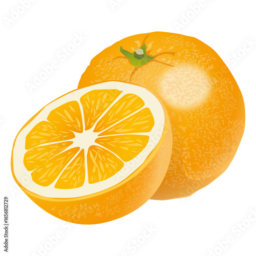Realistic orange