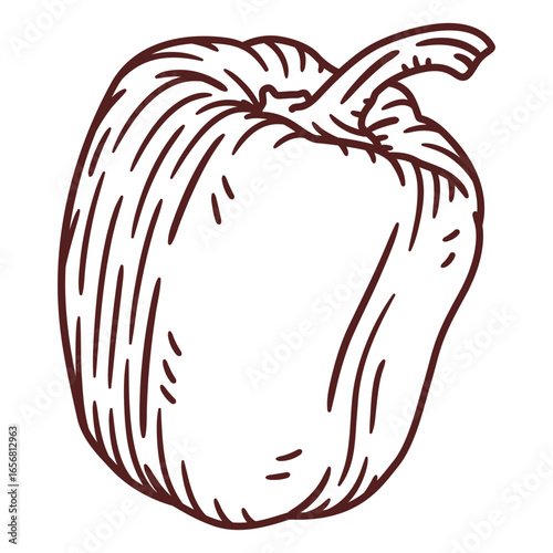 Red pepper hand drawn