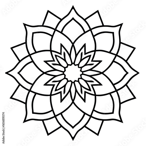 Intricate symmetrical floral mandala design