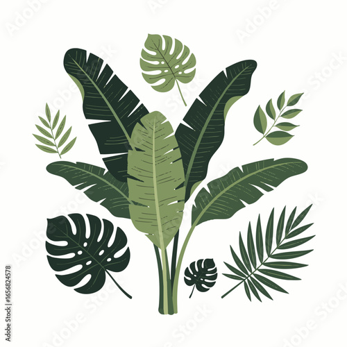 A vibrant collection of diverse tropical green leaves and exotic foliage elements, perfect for creating lush jungle-themed designs and botanical illustrations.