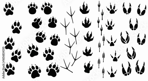 Paw print silhouette isolated on white background