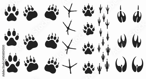 Paw print silhouette isolated on white background