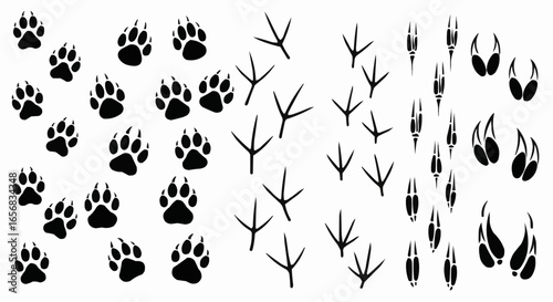 Paw print silhouette isolated on white background