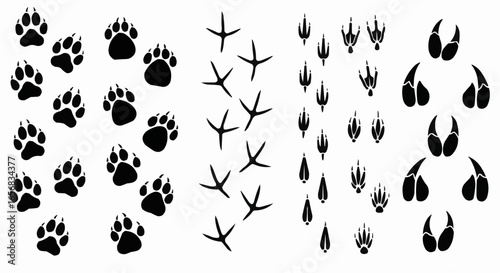 Paw print silhouette isolated on white background