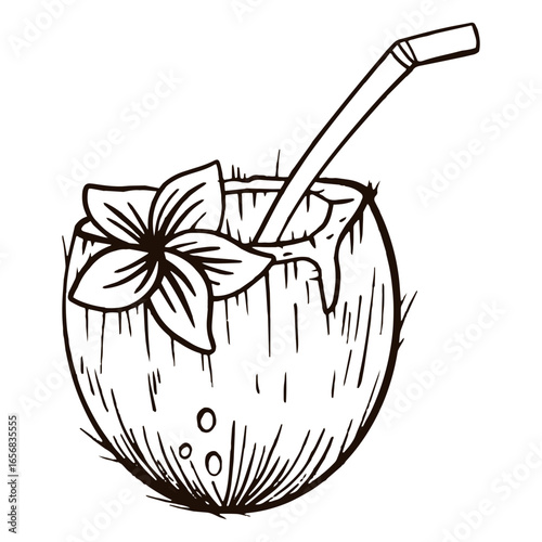 Coconut with straw hand drawn