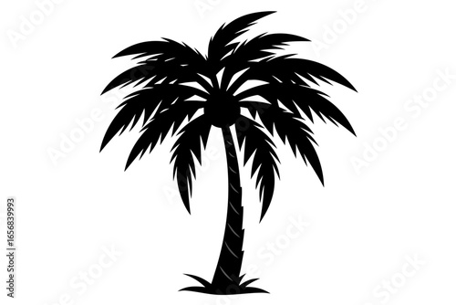 Captivating silhouette of a lush palm tree, perfect for evoking tropical vibes, beach holidays, and serene island escapes, bringing a touch of paradise to any design project.